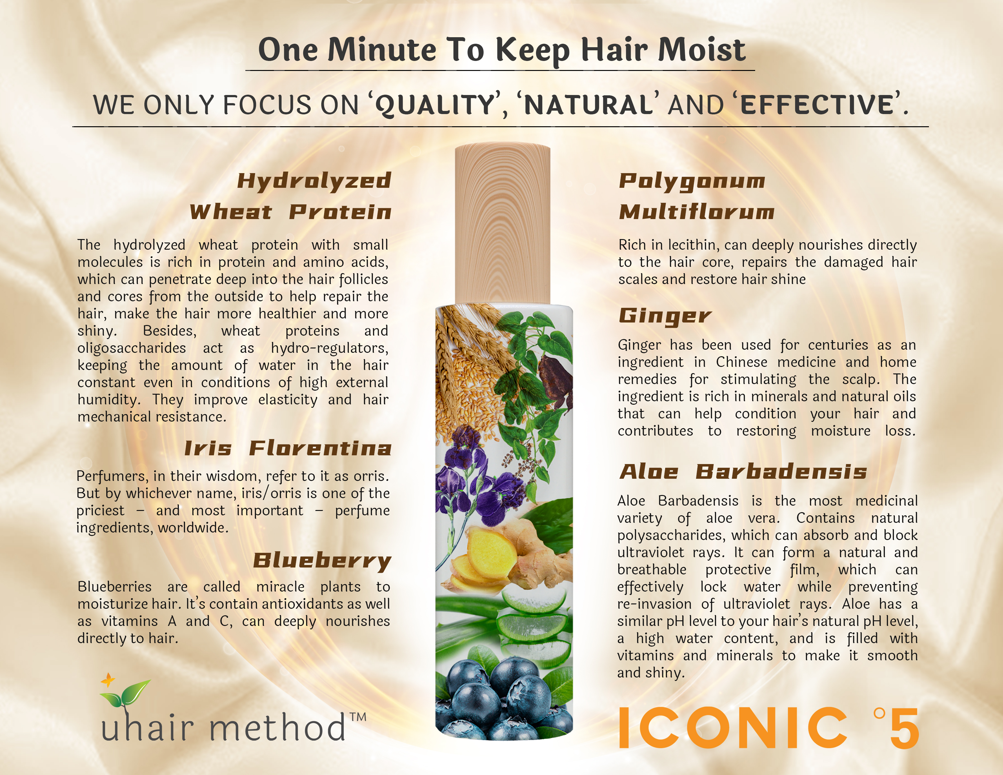ICONIC°5 – Hair Mist Perfume – Beaute Method Group